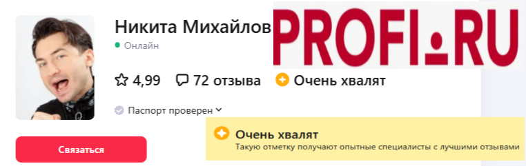 Лучший рейтинг на сайте Profi.ru